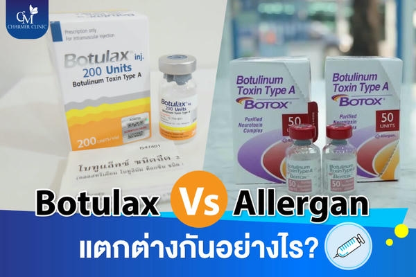 Hiệu quả và độ bền: đánh giá chi tiết