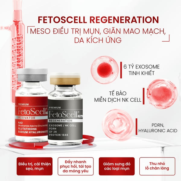 Fetoscell: exosome, growth factor và dưỡng chất tái tạo