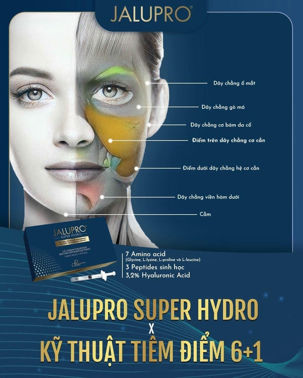 Thành phần chính và cơ chế hoạt động