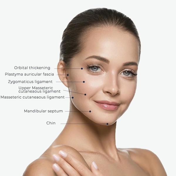 Vùng mặt: điểm tiêm jalupro chi tiết