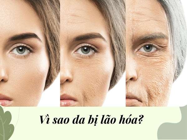 Bioregen có phù hợp cho mọi loại da không