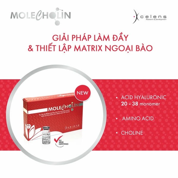 Khái niệm synergy filler và lợi ích trong combo trẻ hóa