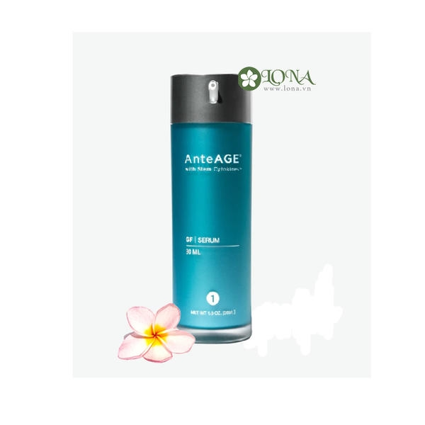 3. Anteage 2025 khác gì so với trước đây?