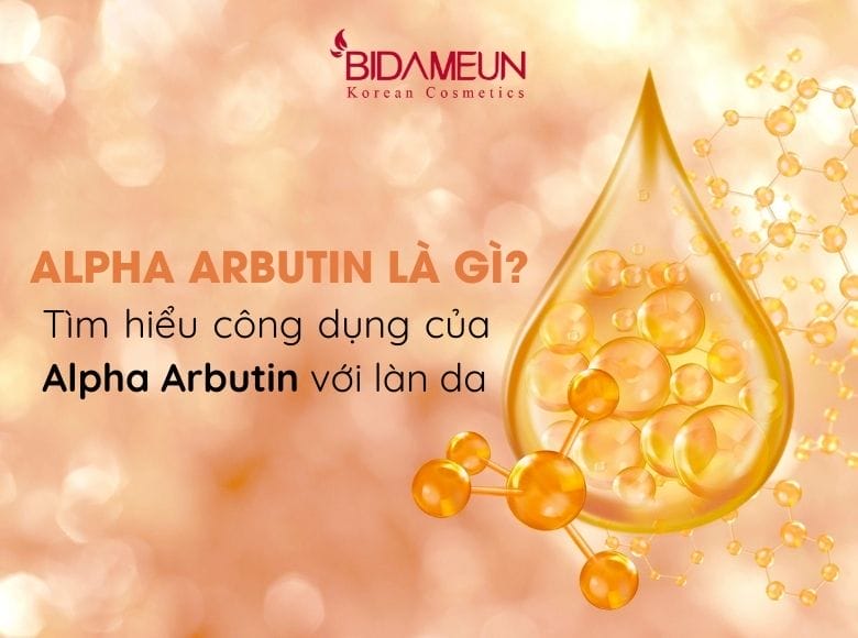 Những câu hỏi độc giả thường đặt — trả lời trực tiếp