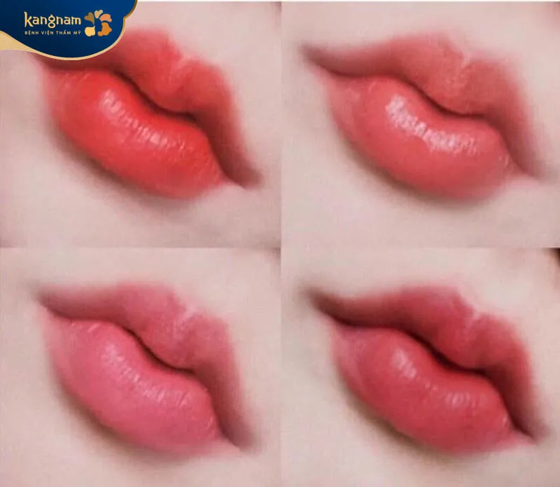 Gợi ý một số cơ sở tham khảo