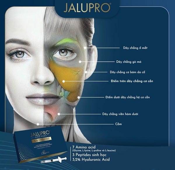 Jalupro là gì — cơ chế tác động và bằng chứng lâm sàng
