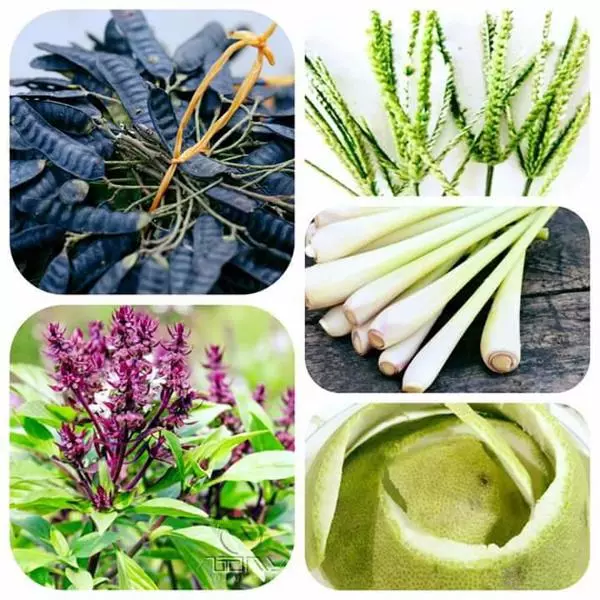 Những thành phần dầu gội thường bị hiểu sai — nên tin tưởng đến đâu?