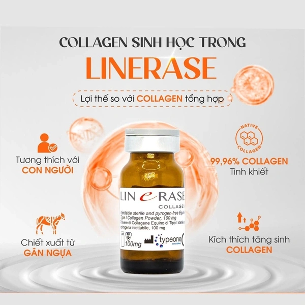 Cơ chế hoạt động của Linerase Collagen như thế nào — tại sao da có thể tự sản xuất collagen?