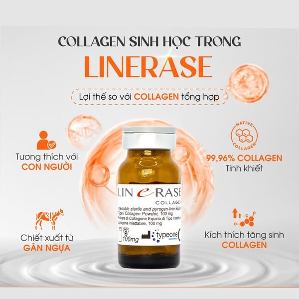 Rủi ro, tác dụng phụ và chống chỉ định — Có gì cần lưu ý?