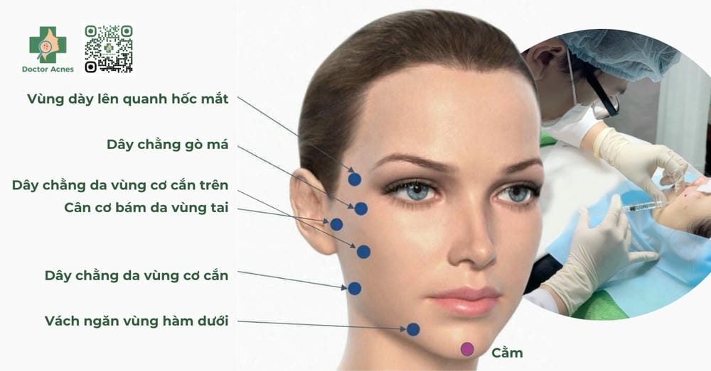 Bằng chứng và tài liệu tham khảo