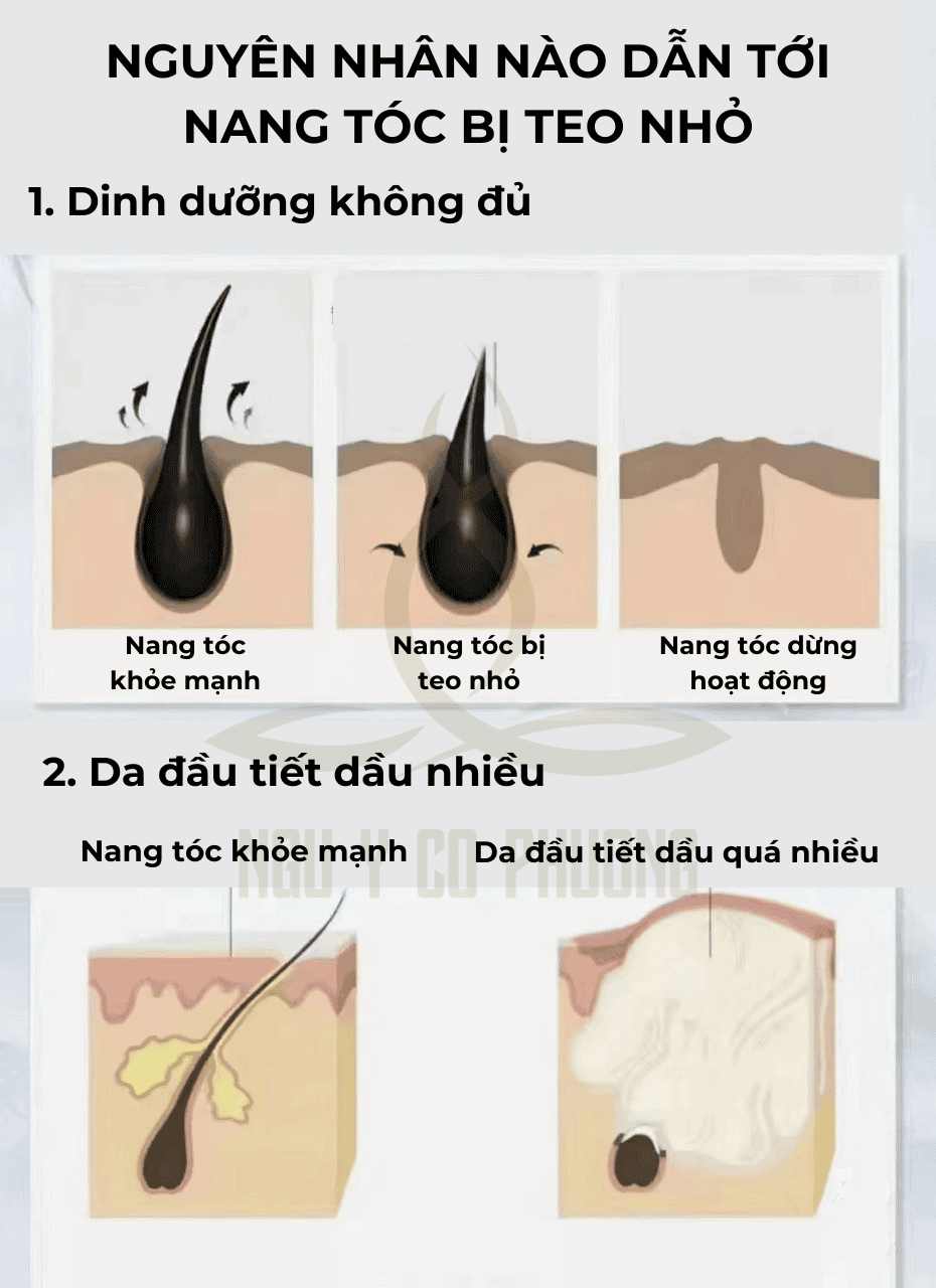 Làm thế nào để một khám, chẩn đoán và kế hoạch điều trị chuyên nghiệp diễn ra?