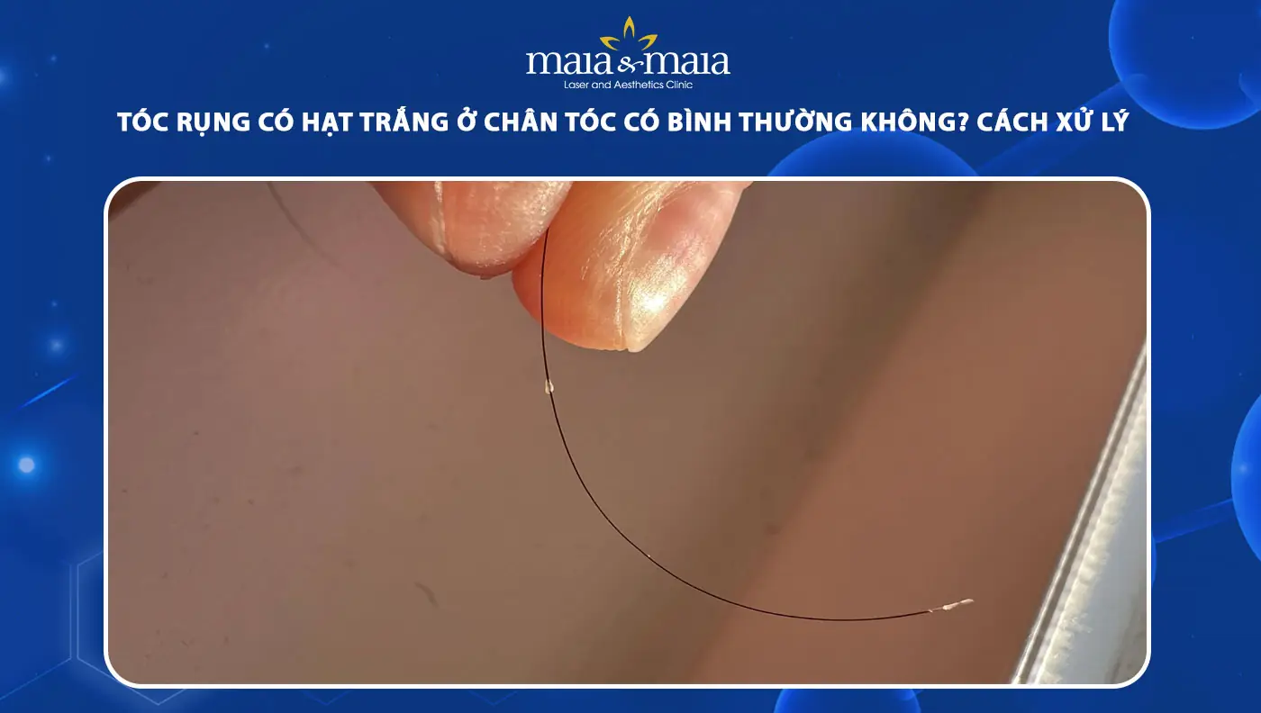 Bảo dưỡng hàng ngày cho nang tóc khỏe mạnh — những điều dễ làm nhưng nhiều người bỏ qua