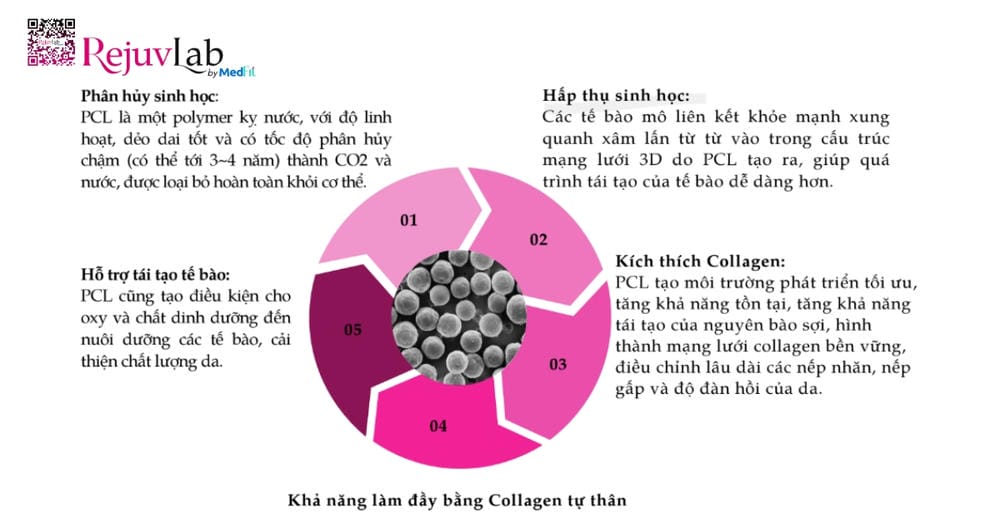 PCL tồn tại trong cơ thể bao lâu — thời gian duy trì thực tế