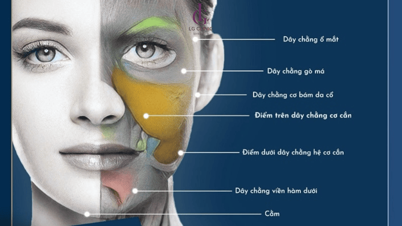 Tiêm BAP có bằng chứng lâm sàng hỗ trợ không?