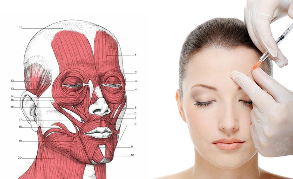 Trường hợp sụp mi (blepharoptosis): có thuốc hỗ trợ tạm thời không?