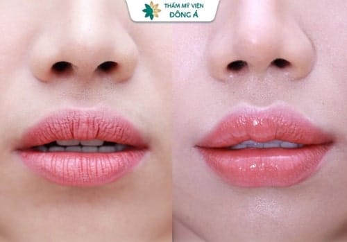 Bằng chứng lâm sàng và thực tế