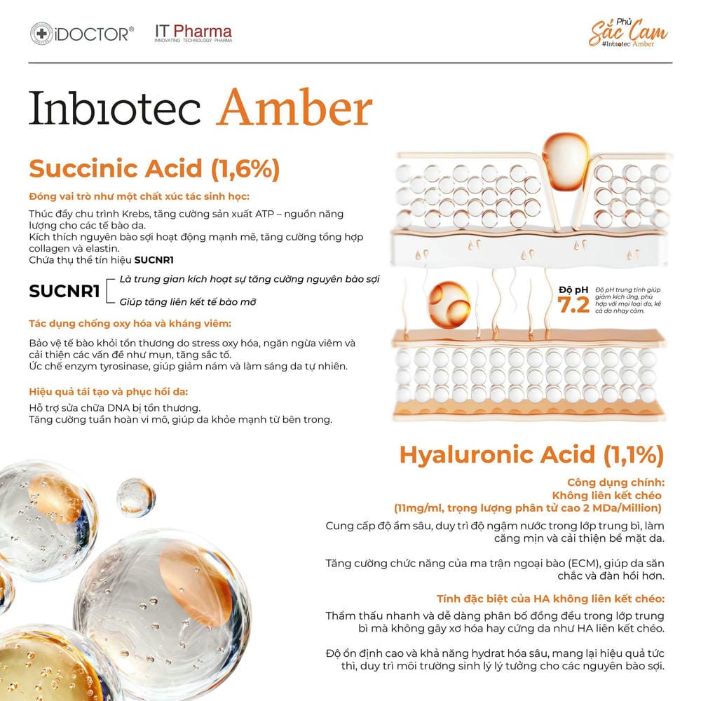 Ai phù hợp và ai nên tránh tiêm Inbiotech Amber?