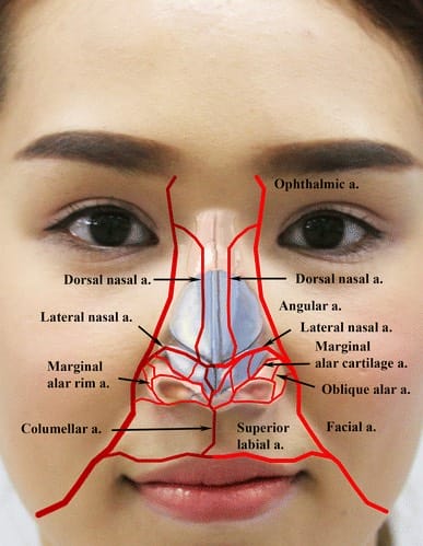 Khi gặp dấu hiệu biến chứng sau tiêm filler mũi, cần làm gì ngay lập tức?
