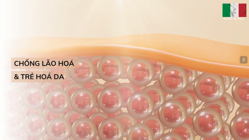 Tiêm BAP Karisma có tác dụng gì vượt trội khi kích thích tái tạo collagen nội sinh và phục hồi ECM, giúp da săn chắc và trẻ trung.